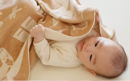 【生成 × 茶綿】 干支柄 （午年） アフガン【60営業日程度で発送】｜オーガニックコットン 布 おくるみ ひざ掛け ブランケット 赤ちゃん ベビー 生成 キナリ 草木染 出産祝い 日本製