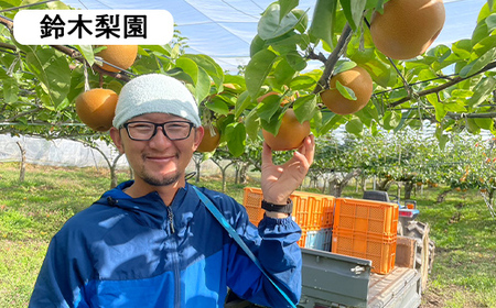 【2026年発送】鏡石町 まきばのフルーツ定期便（桃 約5kg・和梨 約5kg） モモ もも ナシ なし 福島県 鏡石町 F6Q-412