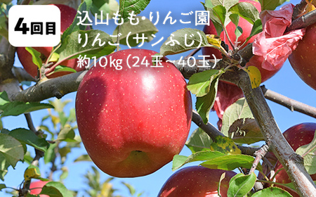 【2026年9月から発送開始】鏡石町 まきばのフルーツ定期便（桃 約2kg・和梨 約5kg・シャインマスカット2房・りんご 約10kg・いちご 約1kg）モモ もも ナシ なし ブドウ ぶどう リンゴ イチゴ 苺 福島県 鏡石町 F6Q-414