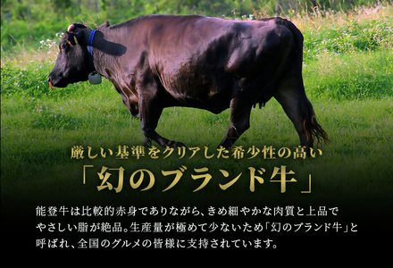 【和牛セレブ】能登牛 牛肩ロース 焼肉 1kg wa111-026