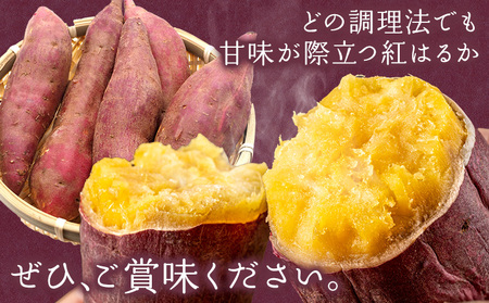さつまいも 紅はるか 約10kg
