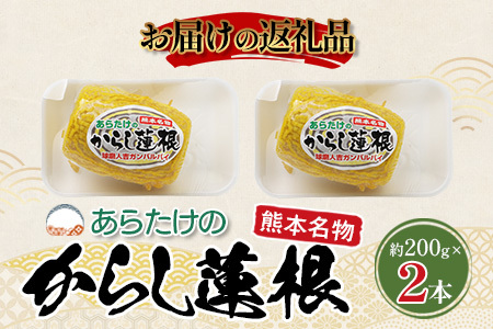 【熊本名物】あらたけの からし蓮根 2本セット (約200g×2本) 辛子 レンコン れんこん 熊本県 特産 名産品 ピリ辛 滋養 多良木町 老舗 あらたけ蒲鉾店 102-0503