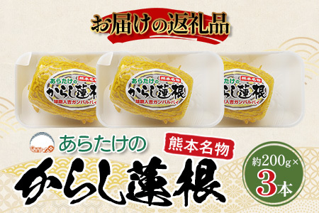 【熊本名物】からし蓮根 3本セット (約200g×3) 102-0504