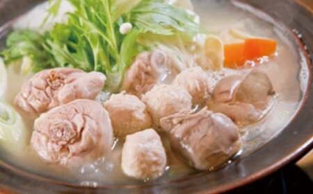 【3ヶ月連続定期便】〈博多華味鳥〉 水たきセット 2人前 ちゃんぽん麺・柚子胡椒付き(HS-02DM) [M929-1] 水炊き 鍋 人気 セット 肉 鶏 はなみどり ご当地グルメ 福岡 スープ