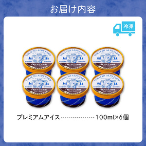 ”希少なブラウンスイス生乳使用” 十勝アルプス牧場 濃厚ショコラアイス6個セット_S020-0018