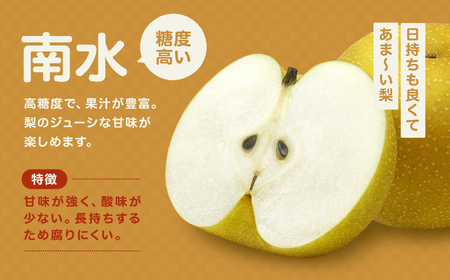 【先行受付】長野県生まれの品種 和梨 南水 3kg(8玉～12玉)