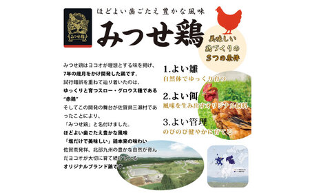 生チキ【みつせ鶏なんこつ入】鶏生ウインナー 計10本（各40g×5本×2P）/ ソーセージ ウインナー BBQ  / 佐賀県 / 山代ガス株式会社 旬菜舎さと山[41AABM054]