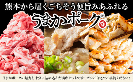 豚肉 うまかポーク 満喫セット 全3回 定期便 うまかポーク 切り落とし ミンチ バラエティセット 生餃子《お申込み月の翌月から発送開始》熊本県 大津町 豚肉 ミンチ 干し芋 ハンバーグ 肉 頒布会 全3回