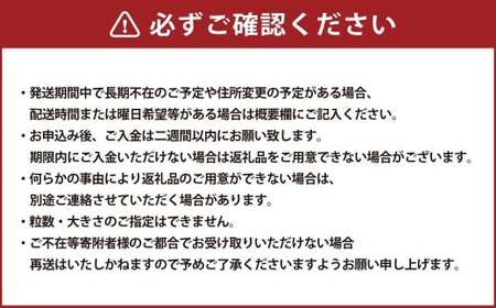 【数量限定】 粒パック 訳あり シャインマスカット （約500g） ＆ BKシードレス （約500g） 計約1kg （各1パック） 【2026年8月下旬～11月上旬発送開始予定】