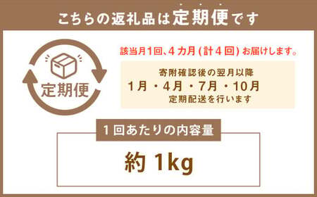 【定期便：年4回発送月固定】【訳あり】やまや熟成無着色辛子明太子 徳用切子冷凍 合計約4kg 1回あたり約1kg 4回 辛子明太子 辛子 明太子 めんたいこ 切子 冷凍