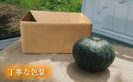 【秋の味覚 北海道産 カボチャ】特濃こふき 無選別 5kg×4箱｜北海道富良野市 9～10月発送 野菜 しっとり ホクホク 濃厚 甘い 濃橙果肉 黒皮カボチャ かぼちゃ こふきかぼちゃ 南瓜 料理用 煮物 業務用 贈答用