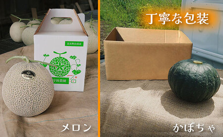 【定期便全2回 夏秋リレー】[2026年7～10月発送] 北海道富良野産 特秀品メロン 2kg1玉×3箱 計6kg＆ 特濃こふき かぼちゃ 5kg×3箱｜北海道 富良野市 高糖度 メロン 黒皮かぼちゃ 濃厚 野菜 果物 フルーツ 贈答用 ギフト