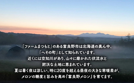 【2026年夏発送】厳選ふらのメロン 赤肉 4玉（8kg）糖度15度以上 [ファームまつもと] メロン 赤肉メロン フルーツ 果物 新鮮 甘い 贈り物 ギフト  ジューシー ブランドメロン 夏 北海道 富良野
