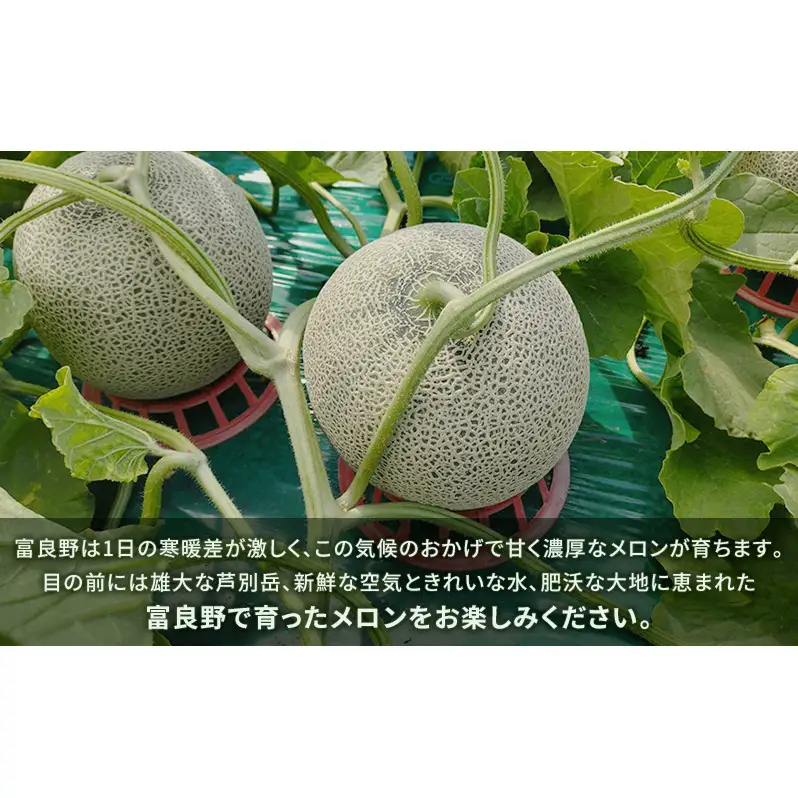 富良野産 キングメロン 大玉 2玉 秀品 計4kg 赤肉 メロン 富良野メロン 果物 フルーツ 甘い ジューシー 新鮮 ブランドメロン 贈り物 ギフト おやつ 夏 北海道 富良野市