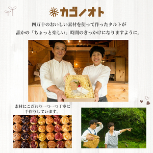 四万十ショコラシュトーレン3本（400g×3）　Ikg-115／シュトーレン スイーツ 焼き菓子 ドイツ菓子