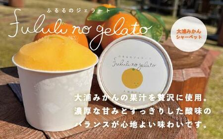 舞鶴ふるるファーム 手作りジェラート 6種セット