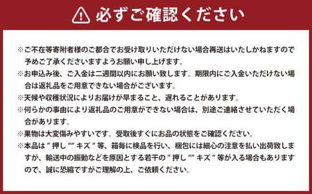 オーロラブラック 2房（1房480g以上・合計960g以上） 化粧箱入り 【2026年8月下旬～9月下旬迄発送予定】 葡萄 ブドウ ぶどう フルーツ 果物 ギフト 国産 岡山県産