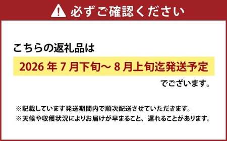 詰合／ 白桃 2玉（1玉220g以上）・ ニューピオーネ 1房（480g以上）・ シャインマスカット 1房（ 晴王 ・480g以上） 合計約1.2kg以上 化粧箱入り 【2026年7月下旬～8月上旬迄発送予定】 桃 もも 葡萄 ブドウ ぶどう フルーツ 果物 ギフト 国産 岡山県産