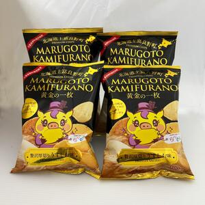 北海道 上富良野 ポテトチップス 100g 4袋 富良野 ホップ炭酸水 500ml × 24本 セット 贅沢 厚切り うすしお 味
