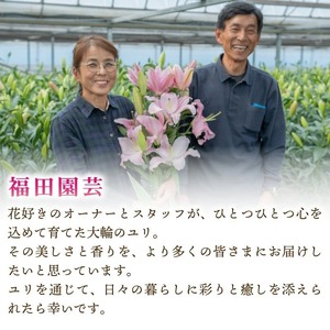  ユリ(オリエンタルリリー)3本 6ヶ月定期便【ユリ】