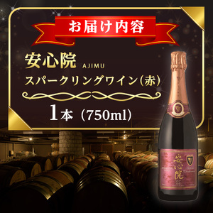 安心院スパークリングワイン赤(計750ml)酒 お酒 ワイン 赤ワイン スパークリングワイン ぶどう 葡萄 飲み比べ セット スピード発送 【107306800】【時枝酒店】