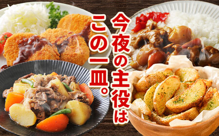 【先行受付】北海道名寄市産 じゃがいも　 Lサイズ　秀品　ジャガイモ