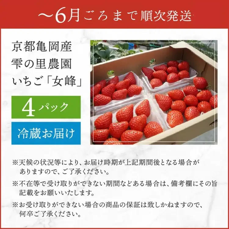 京都亀岡産 雫の里農園 いちご【女峰】4パック ※化学肥料・農薬極力不使用 ※2026年6月頃まで順次発送