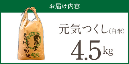 【2026年10月より順次発送】福岡県産ブランド米元気つくし 白米 4.5kg【令和8年産 新米】 _  元気つくし 4.5kg  福岡県産 ブランド米 精米 新米 福岡生まれ 品種 香り豊か ふっくら 食感 ご飯 白ご飯 おにぎり 弁当 お米 食品 お取り寄せ 九州 久留米市産 福岡県 久留米市 送料無料  〔Gr086〕