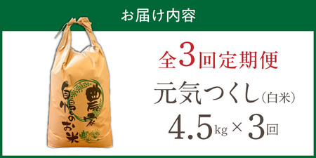 【定期便3回】【令和8年産 新米】福岡県産ブランド米元気つくし 白米 4.5kg×3回 _  元気つくし 4.5kg  お届け回数 3回 定期便 福岡県産 ブランド米 精米 新米 福岡生まれ 品種 香り豊か ふっくら 食感 ご飯 白ご飯 おにぎり 弁当 お米 食品 お取り寄せ 九州 久留米市産 福岡県 久留米市 送料無料  〔Tk111-03〕