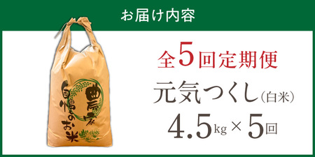 【定期便5回】【令和8年産 新米】福岡県産ブランド米元気つくし 白米 4.5kg×5回 _  元気つくし 4.5kg  お届け回数 5回 定期便 福岡県産 ブランド米 精米 新米 福岡生まれ 品種 香り豊か ふっくら 食感 ご飯 白ご飯 おにぎり 弁当 お米 食品 お取り寄せ 九州 久留米市産 福岡県 久留米市 送料無料  〔Tk111-05〕