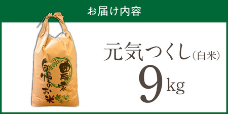 【2026年10月より順次発送】福岡県産ブランド米元気つくし 白米 9kg【令和8年産 新米】 _  元気つくし 9kg  福岡県産 ブランド米 精米 新米 福岡生まれ 品種 香り豊か ふっくら 食感 ご飯 白ご飯 おにぎり 弁当 お米 食品 お取り寄せ 九州 久留米市産 福岡県 久留米市 送料無料  〔Gr087〕