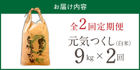 【定期便2回】【令和8年産 新米】福岡県産ブランド米元気つくし 白米 9kg×2回 _  元気つくし 9kg  お届け回数 2回 定期便 福岡県産 ブランド米 精米 新米 福岡生まれ 品種 香り豊か ふっくら 食感 ご飯 白ご飯 おにぎり 弁当 お米 食品 お取り寄せ 九州 久留米市産 福岡県 久留米市 送料無料  〔Tk112-02〕