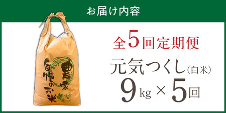 【定期便5回】【令和8年産 新米】福岡県産ブランド米元気つくし 白米 9kg×5回 _  元気つくし 9kg  お届け回数 5回 定期便 福岡県産 ブランド米 精米 新米 福岡生まれ 品種 香り豊か ふっくら 食感 ご飯 白ご飯 おにぎり 弁当 お米 食品 お取り寄せ 九州 久留米市産 福岡県 久留米市 送料無料  〔Tk112-05〕