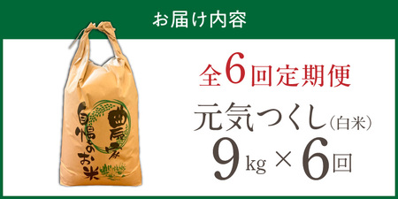 【定期便6回】【令和8年産 新米】福岡県産ブランド米元気つくし 白米 9kg×6回 _  元気つくし 9kg  お届け回数 6回 定期便 福岡県産 ブランド米 精米 新米 福岡生まれ 品種 香り豊か ふっくら 食感 ご飯 白ご飯 おにぎり 弁当 お米 食品 お取り寄せ 九州 久留米市産 福岡県 久留米市 送料無料  〔Tk112-06〕