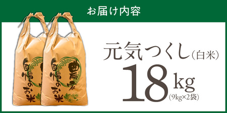 【2026年10月より順次発送】福岡県産ブランド米元気つくし 白米 18kg【令和8年産 新米】 _  元気つくし 18kg  福岡県産 ブランド米 精米 新米 福岡生まれ 品種 香り豊か ふっくら 食感 ご飯 白ご飯 おにぎり 弁当 お米 食品 お取り寄せ 九州 久留米市産 福岡県 久留米市 送料無料  〔Gr088〕