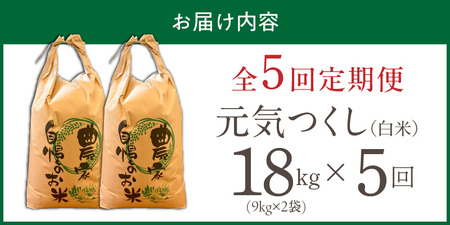 【定期便5回】【令和8年産 新米】福岡県産ブランド米元気つくし 白米 18kg×5回 _  元気つくし 18kg  お届け回数 5回 定期便 福岡県産 ブランド米 精米 新米 福岡生まれ 品種 香り豊か ふっくら 食感 ご飯 白ご飯 おにぎり 弁当 お米 食品 お取り寄せ 九州 久留米市産 福岡県 久留米市 送料無料  〔Tk113-05〕
