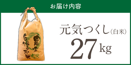 【2026年10月より順次発送】福岡県産ブランド米元気つくし 白米 27kg【令和8年産 新米】 _  元気つくし 27kg  福岡県産 ブランド米 精米 新米 福岡生まれ 品種 香り豊か ふっくら 食感 ご飯 白ご飯 おにぎり 弁当 お米 食品 お取り寄せ 九州 久留米市産 福岡県 久留米市 送料無料  〔Gr089〕
