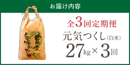 【定期便3回】【令和8年産 新米】福岡県産ブランド米元気つくし 白米 27kg×3回 _  元気つくし 27kg  お届け回数 3回 定期便 福岡県産 ブランド米 精米 新米 福岡生まれ 品種 香り豊か ふっくら 食感 ご飯 白ご飯 おにぎり 弁当 お米 食品 お取り寄せ 九州 久留米市産 福岡県 久留米市 送料無料  〔Tk114-03〕