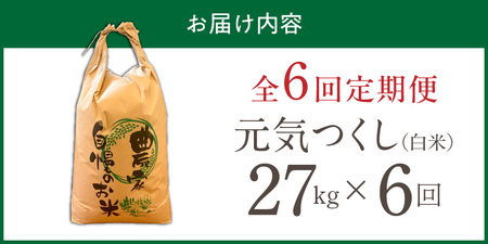 【定期便6回】【令和8年産 新米】福岡県産ブランド米元気つくし 白米 27kg×6回 _  元気つくし 27kg  お届け回数 6回 定期便 福岡県産 ブランド米 精米 新米 福岡生まれ 品種 香り豊か ふっくら 食感 ご飯 白ご飯 おにぎり 弁当 お米 食品 お取り寄せ 九州 久留米市産 福岡県 久留米市 送料無料  〔Tk114-06〕