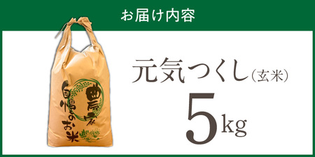 【2026年10月より順次発送】福岡県産ブランド米元気つくし 玄米 5kg【令和8年産 新米】 _  元気つくし 5kg 福岡県産 ブランド米 新米 福岡生まれ 品種 香り豊か ふっくら 食感 ご飯 おにぎり 弁当 お米 食品 お取り寄せ 九州 久留米市産 福岡県 久留米市 送料無料  〔Gr090〕