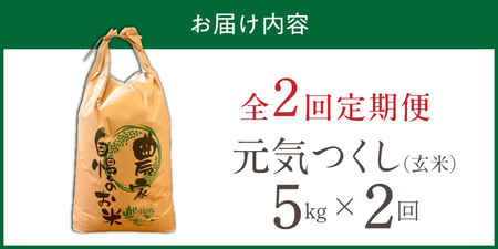 【定期便2回】【令和8年産 新米】福岡県産ブランド米元気つくし 玄米 5kg×2回 _  元気つくし 5kg お届け回数 2回 定期便 福岡県産 ブランド米 新米 福岡生まれ 品種 香り豊か ふっくら 食感 ご飯 おにぎり 弁当 お米 食品 お取り寄せ 九州 久留米市産 福岡県 久留米市 送料無料  〔Tk115-02〕