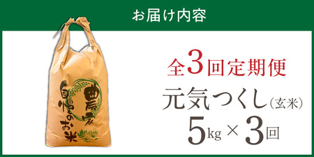 【定期便3回】【令和8年産 新米】福岡県産ブランド米元気つくし 玄米 5kg×3回 _  元気つくし 5kg お届け回数 3回 定期便 福岡県産 ブランド米 新米 福岡生まれ 品種 香り豊か ふっくら 食感 ご飯 おにぎり 弁当 お米 食品 お取り寄せ 九州 久留米市産 福岡県 久留米市 送料無料  〔Tk115-03〕