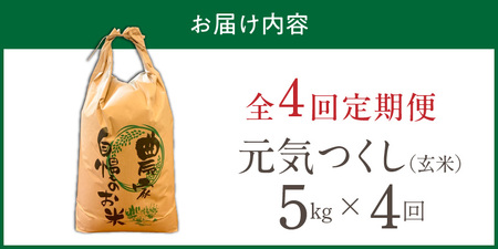 【定期便4回】【令和8年産 新米】福岡県産ブランド米元気つくし 玄米 5kg×4回 _  元気つくし 5kg お届け回数 4回 定期便 福岡県産 ブランド米 新米 福岡生まれ 品種 香り豊か ふっくら 食感 ご飯 おにぎり 弁当 お米 食品 お取り寄せ 九州 久留米市産 福岡県 久留米市 送料無料  〔Tk115-04〕