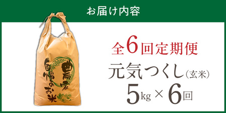 【定期便6回】【令和8年産 新米】福岡県産ブランド米元気つくし 玄米 5kg×6回 _  元気つくし 5kg お届け回数 6回 定期便 福岡県産 ブランド米 新米 福岡生まれ 品種 香り豊か ふっくら 食感 ご飯 おにぎり 弁当 お米 食品 お取り寄せ 九州 久留米市産 福岡県 久留米市 送料無料  〔Tk115-06〕