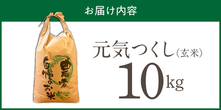 【2026年10月より順次発送】福岡県産ブランド米元気つくし 玄米 10kg【令和8年産 新米】 _  元気つくし 10kg 福岡県産 ブランド米 新米 福岡生まれ 品種 香り豊か ふっくら 食感 ご飯 おにぎり 弁当 お米 食品 お取り寄せ 九州 久留米市産 福岡県 久留米市 送料無料  〔Gr091〕