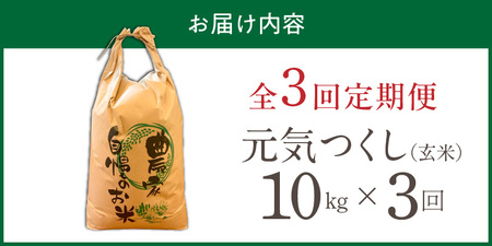 【定期便3回】【令和8年産 新米】福岡県産ブランド米元気つくし 玄米 10kg×3回 _  元気つくし 10kg お届け回数 3回 定期便 福岡県産 ブランド米 新米 福岡生まれ 品種 香り豊か ふっくら 食感 ご飯 おにぎり 弁当 お米 食品 お取り寄せ 九州 久留米市産 福岡県 久留米市 送料無料  〔Tk116-03〕