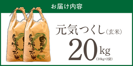 【2026年10月より順次発送】福岡県産ブランド米元気つくし 玄米 20kg【令和8年産 新米】 _  元気つくし 20kg 福岡県産 ブランド米 新米 福岡生まれ 品種 香り豊か ふっくら 食感 ご飯 おにぎり 弁当 お米 食品 お取り寄せ 九州 久留米市産 福岡県 久留米市 送料無料  〔Gr092〕