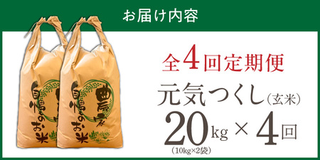 【定期便4回】【令和8年産 新米】福岡県産ブランド米元気つくし 玄米 20kg×4回 _  元気つくし 20kg お届け回数 4回 定期便 福岡県産 ブランド米 新米 福岡生まれ 品種 香り豊か ふっくら 食感 ご飯 おにぎり 弁当 お米 食品 お取り寄せ 九州 久留米市産 福岡県 久留米市 送料無料  〔Tk117-04〕