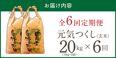 【定期便6回】【令和8年産 新米】福岡県産ブランド米元気つくし 玄米 20kg×6回 _  元気つくし 20kg お届け回数 6回 定期便 福岡県産 ブランド米 新米 福岡生まれ 品種 香り豊か ふっくら 食感 ご飯 おにぎり 弁当 お米 食品 お取り寄せ 九州 久留米市産 福岡県 久留米市 送料無料  〔Tk117-06〕
