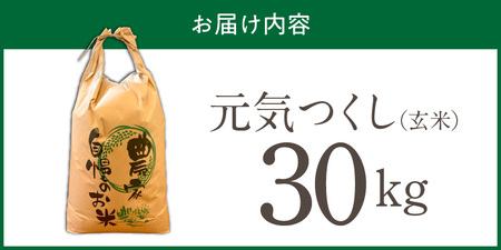 【2026年10月より順次発送】福岡県産ブランド米元気つくし 玄米 30kg【令和8年産 新米】 _  元気つくし 30kg 福岡県産 ブランド米 新米 福岡生まれ 品種 香り豊か ふっくら 食感 ご飯 おにぎり 弁当 お米 食品 お取り寄せ 九州 久留米市産 福岡県 久留米市 送料無料  〔Gr093〕